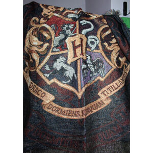 Warner Bros Entertainment Harry Potter Acrylic large Tapestry Blanket 45 x 60
